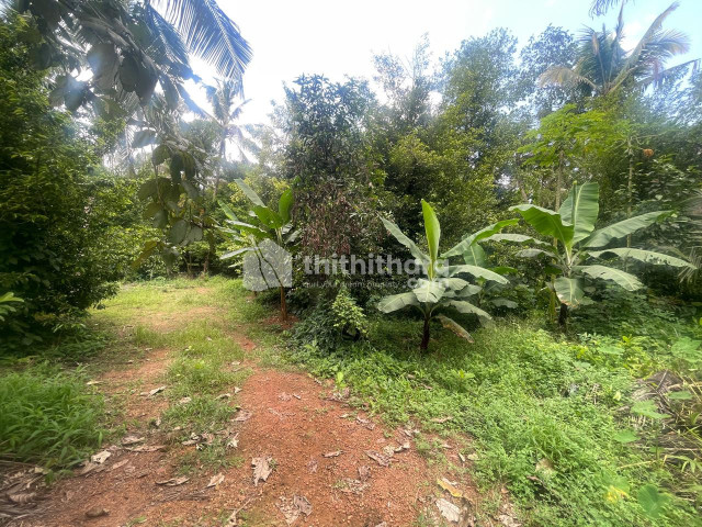 Commercial Plots Available for Sale in Kaduthuruthy Kottayam