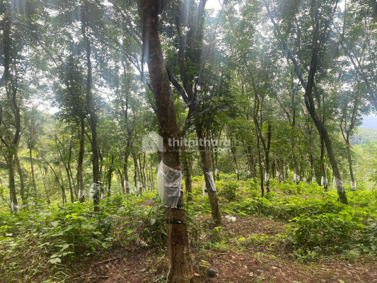 Commercial Plots Available for Sale in Perambra Kozhikode