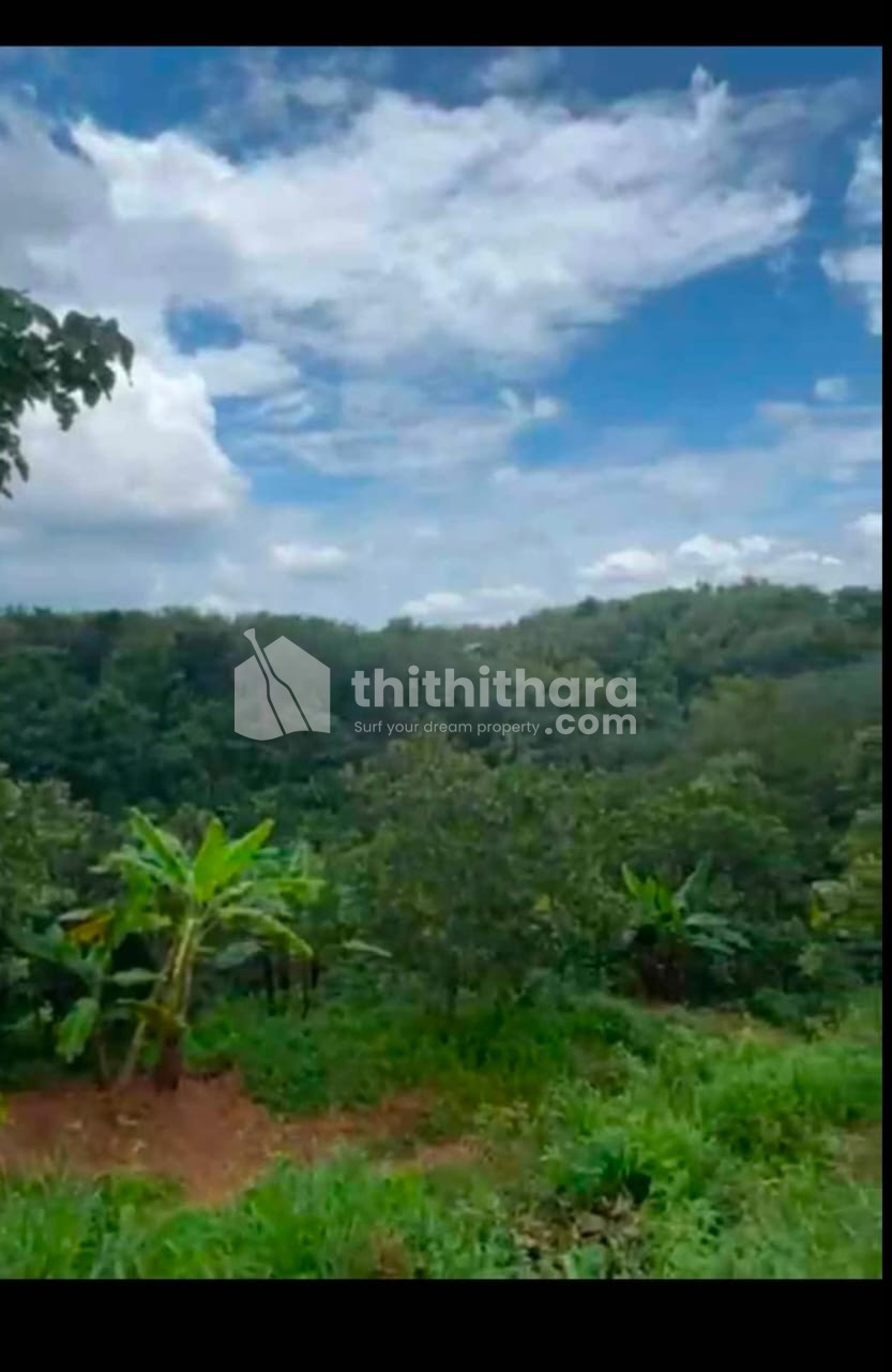 Residential Land Available for Sale in Chadayamangala Kollam