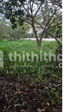 Residential plot for Sale in Olavakkod Palakkad
