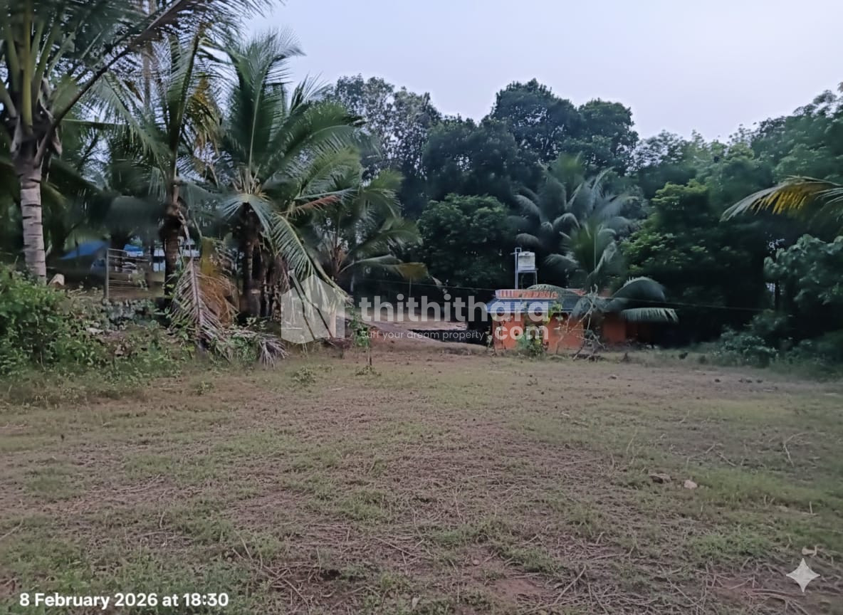 Residential Land available for Sale in Ranni Pathanamthitta