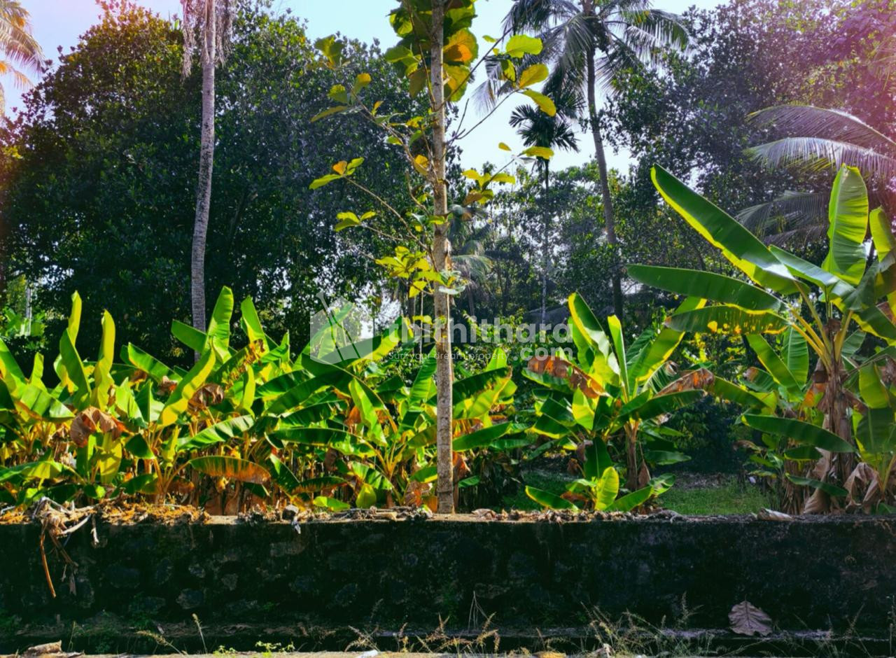 Road Frontage Residential plots for Sale in Angamaly, Ernakulam