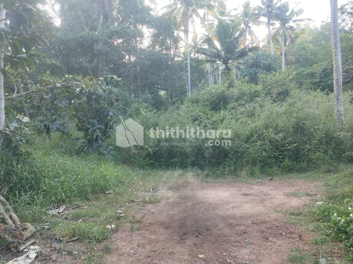 Residential Land Available for Sale in Kovalam Thiruvananthapuram