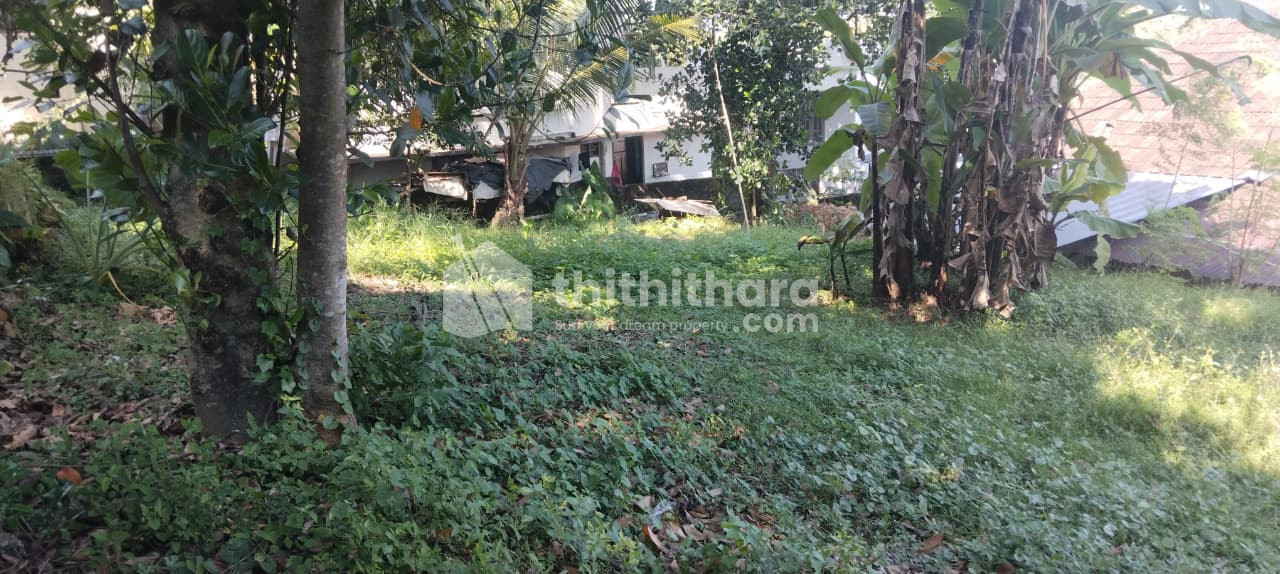 Commercial Plots Available for Sale in Vattiyoorkavu Thiruvananthapuram