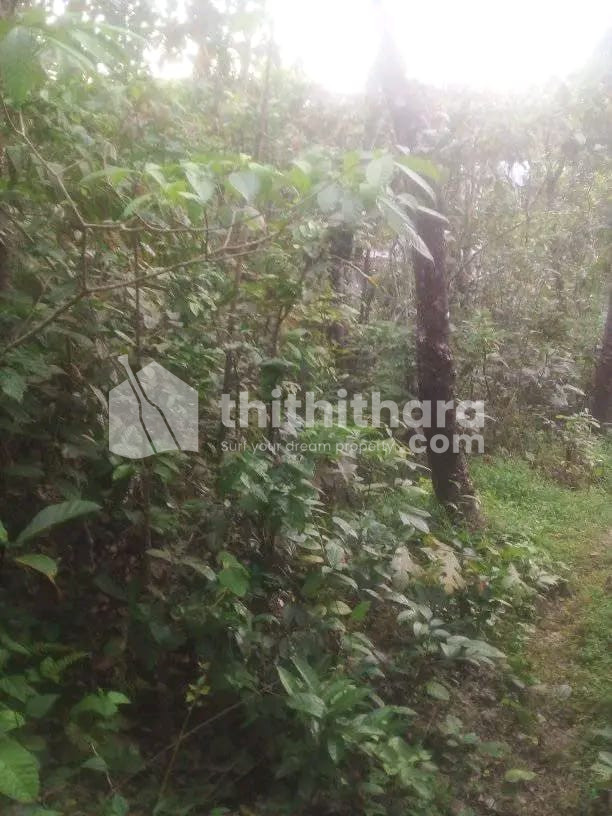 Residential Land Available for Sale in Mallappally Pathanamthitta