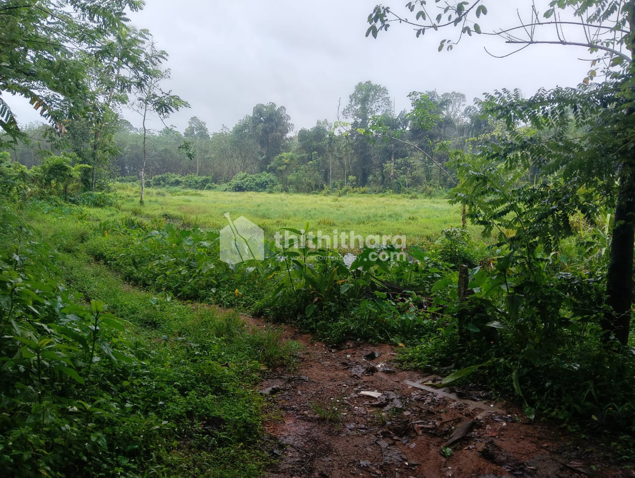 Residential Land Available For Sale In Changanassery  Kottayam 