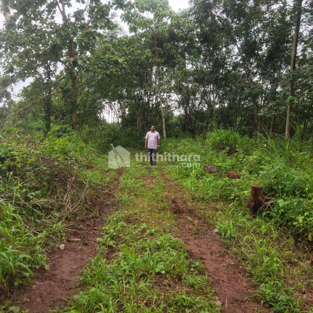 1.16 Acre/Manjeri/very suitable for house ,Resorts,villa and godown 