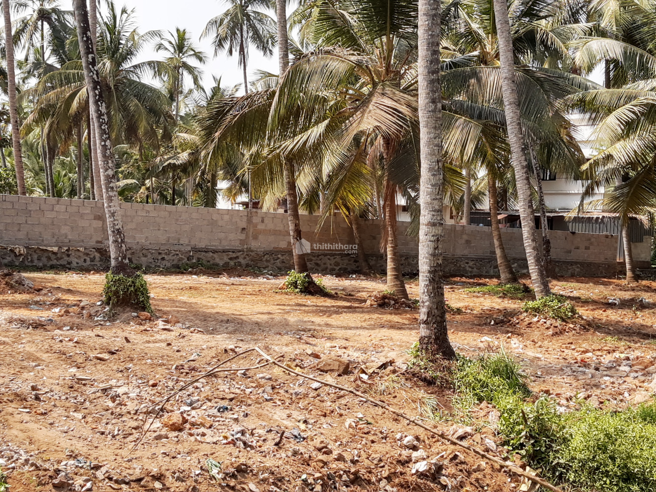 Residential Land Available for Sale Meenchanda Kozhikode