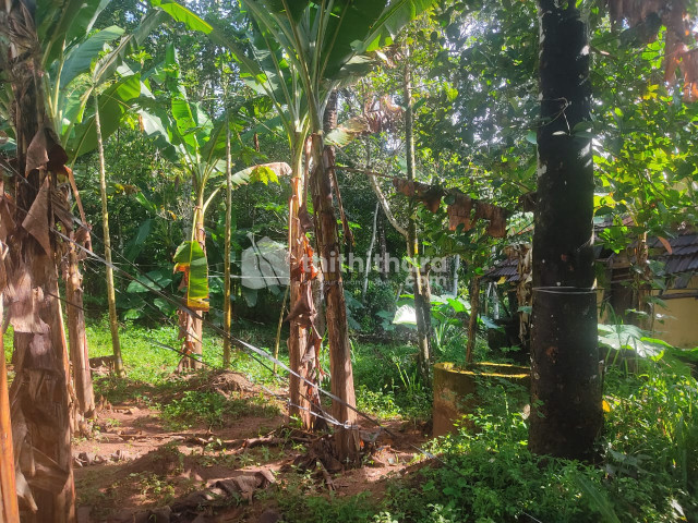 Residential Land Available for Sale in Irinjalakuda Thrissur
