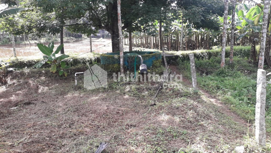 Residential Land for sale in Mankada Malappuram