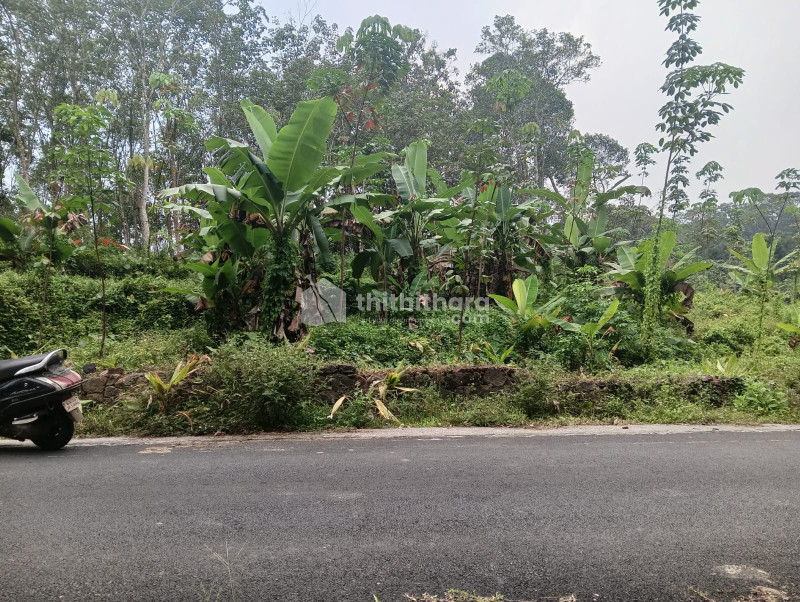 Residential Land for Sale in Manimala Kottayam