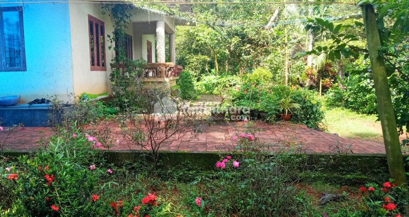 3 BHK Independent House Available for Sale in Thodupuzha Idukki