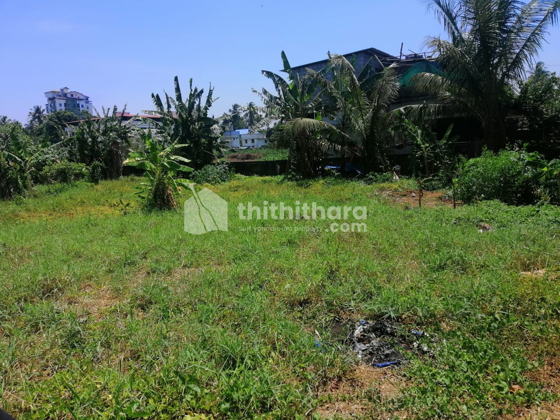 Land for sale in Paravattani