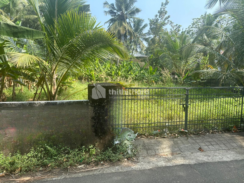 Residential Land for Sale in Kuttumuck Thrissur