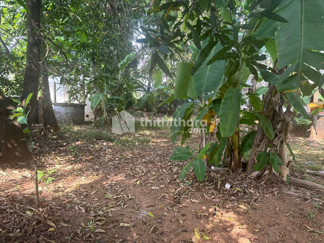 Residential Land for Sale in Vyloppilly Thrissur