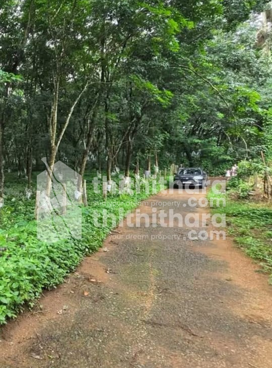 Residential Land for sale in Manarcadu Kottayam