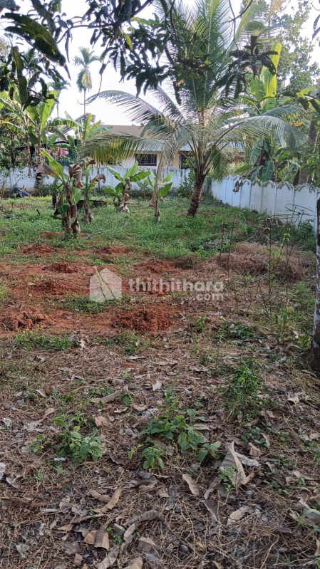Residential Land available for Sale in Aluva Ernakulam