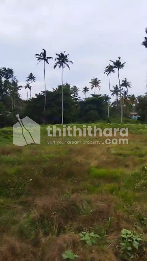Residential Land for sale in Paravur Ernakulam 