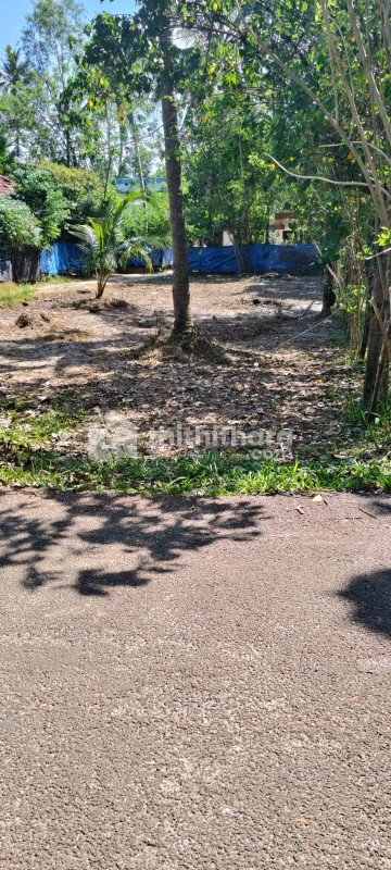 Residential Land for Sale in Cherthala Alappuzha 