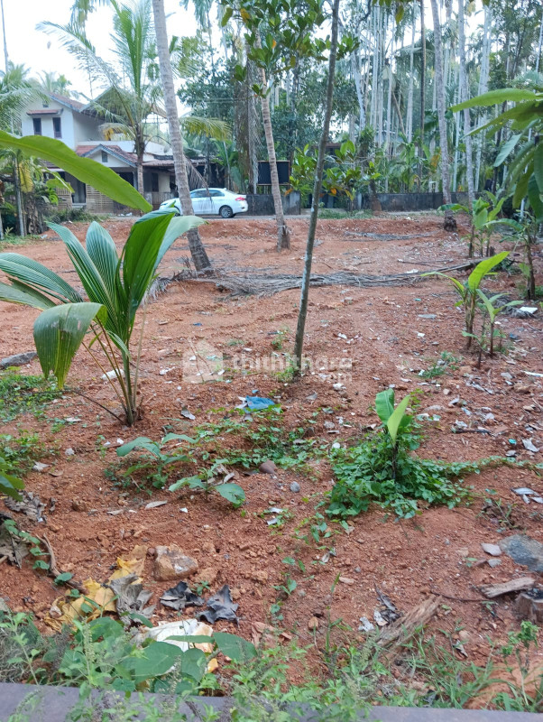 Residential Land Available for Sale in Kondotty Malappuram