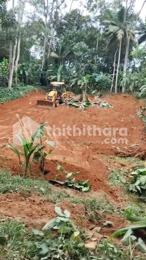 Residential Land available for Sale in Maranalloor Thiruvananthapuram