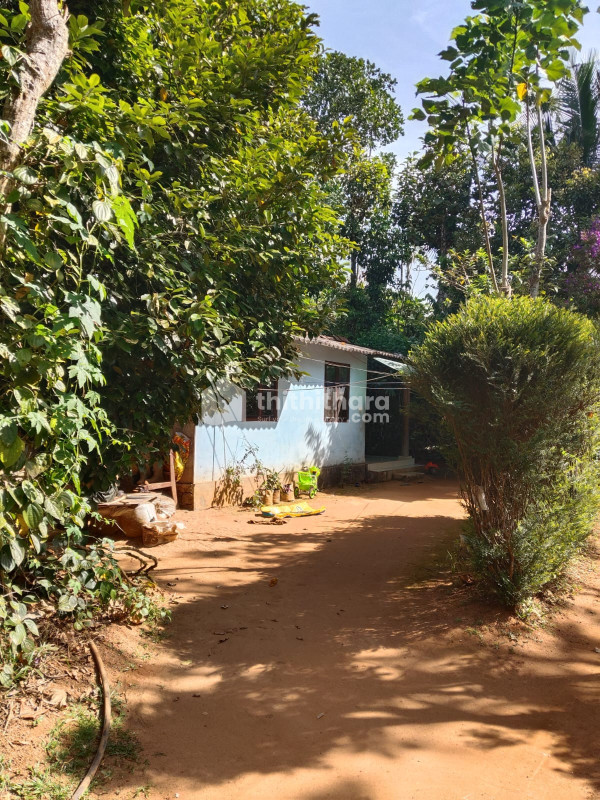 Residential Land available for Sale in Devikulam, Idukki