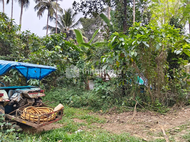 Residential Land for Sale in Koodaranji Kozhikode