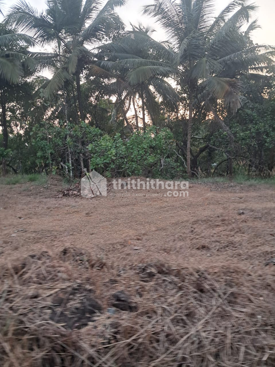 Residential Land available for Sale inKuthuparamba, Kannur