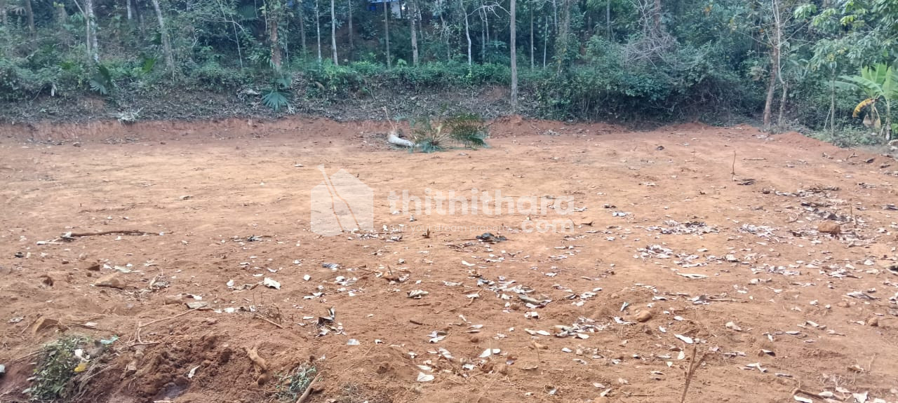 Residential Land for Sale in Mattanur Kannur