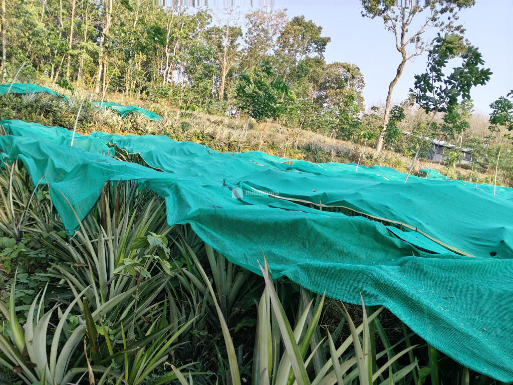 Land for Sale in Vaikom Kottayam