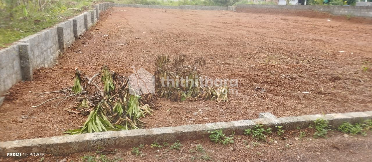 Land for Sale in Chottanikkara Ernakulam