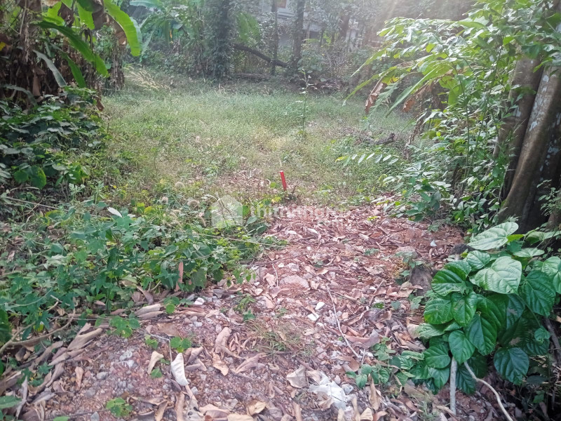 Commercial Plot for Sale in Vengeri Kozhikode 