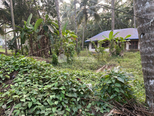 Commercial Plot for Sale Paloramala Kozhikode  