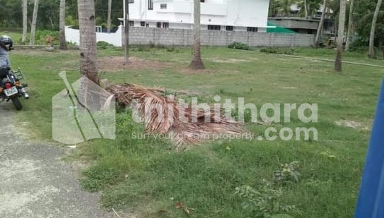 Land for Sale in Kayamkulam Alappuzha