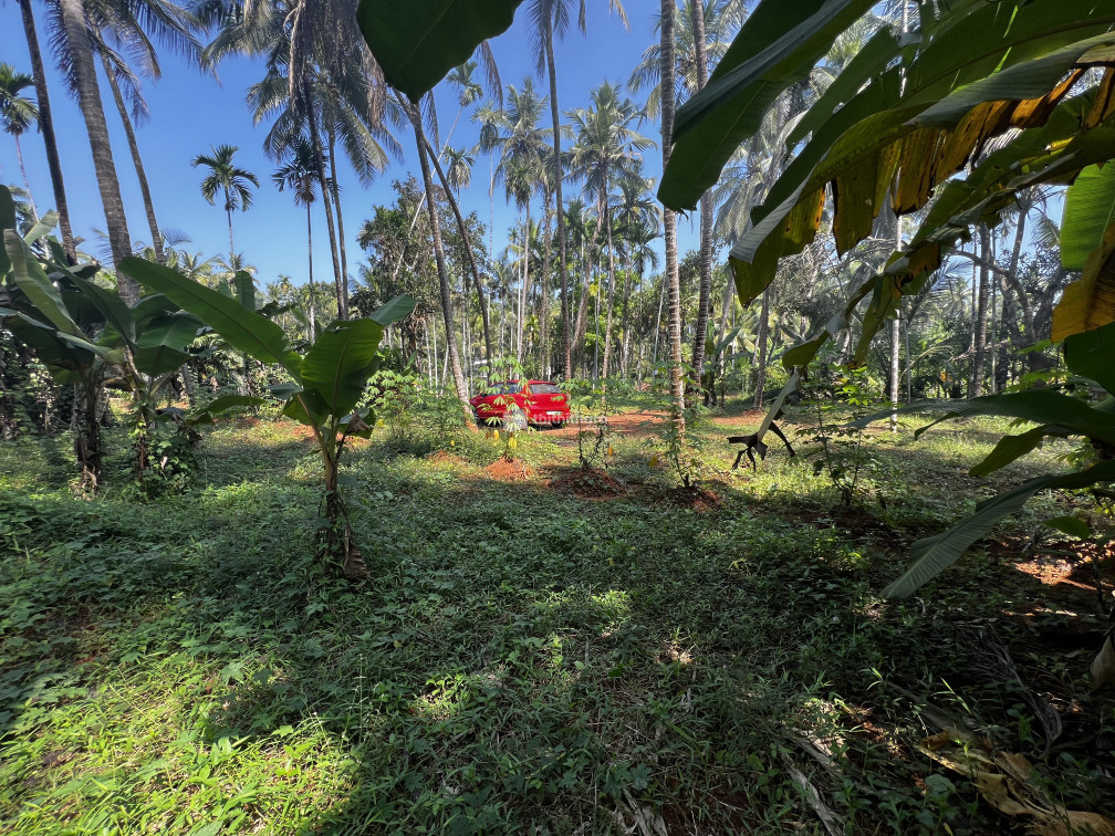 Land for Sale in Kunnamangalam Kozhikode
