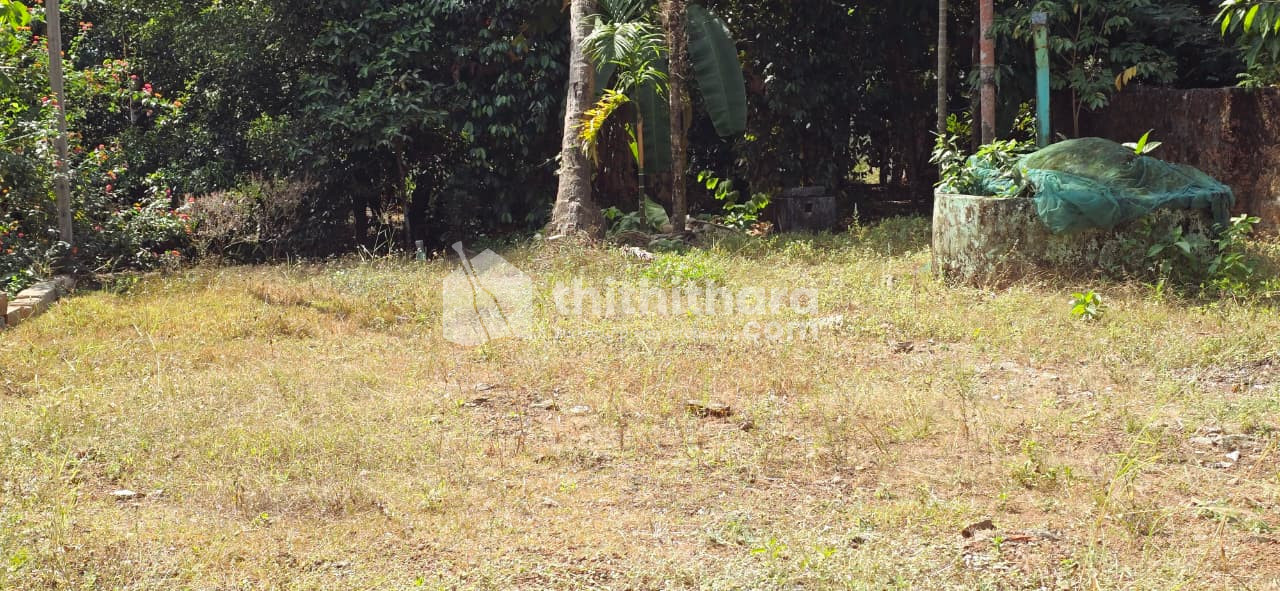 Land for Sale in Chalakudy Thrissur