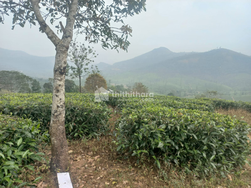 Land for Sale in Vagamon Idukki