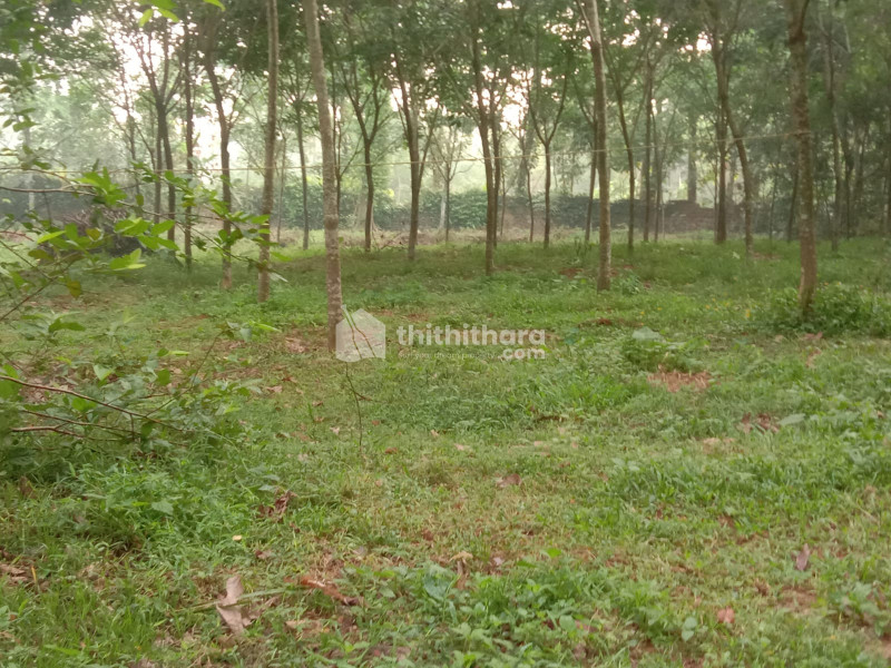 Land for Sale in Paravur Ernakulam