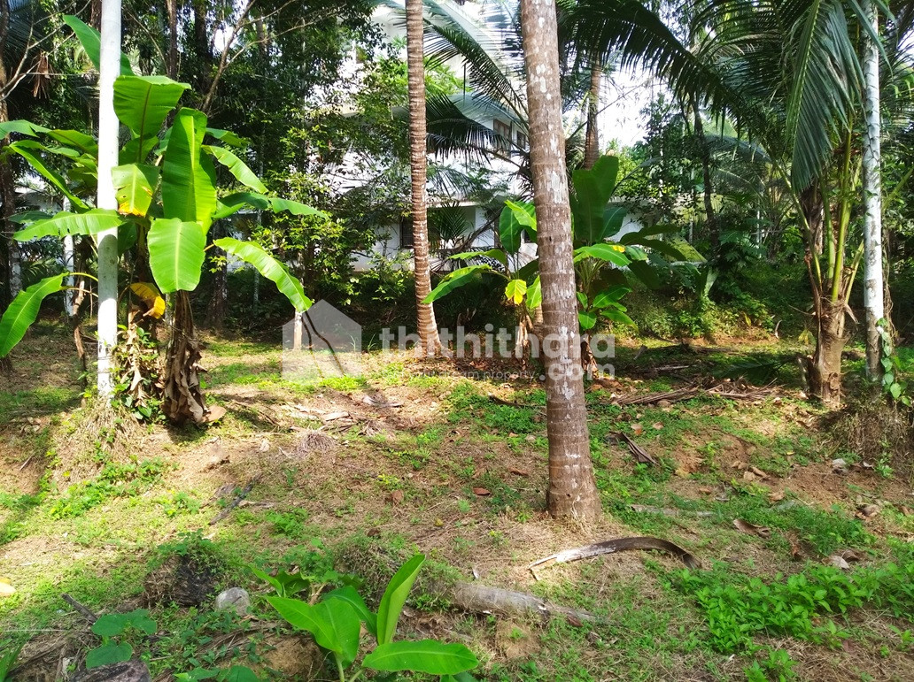 Land for Sale in Vadakara Kozhikode 