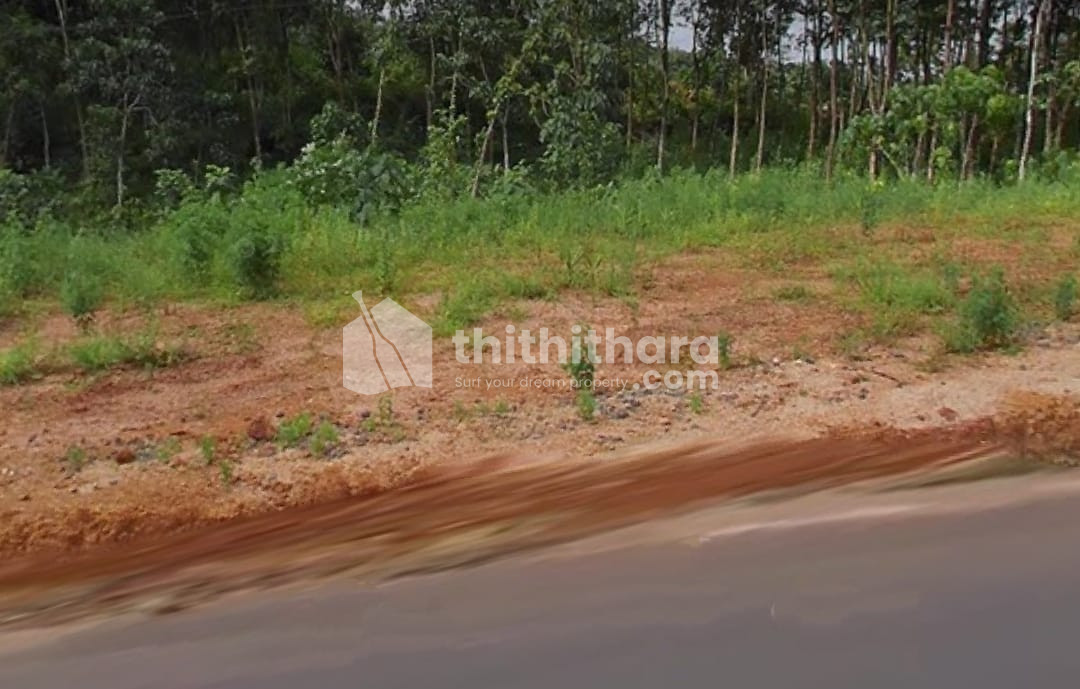 Commercial Plots for Sale in Muvattupuzha Ernakulam