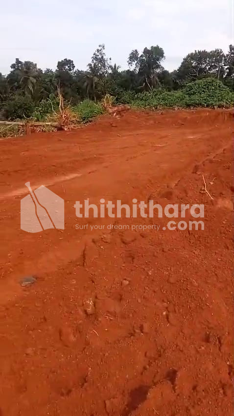 Land for Sale in Mannarkad Palakkad