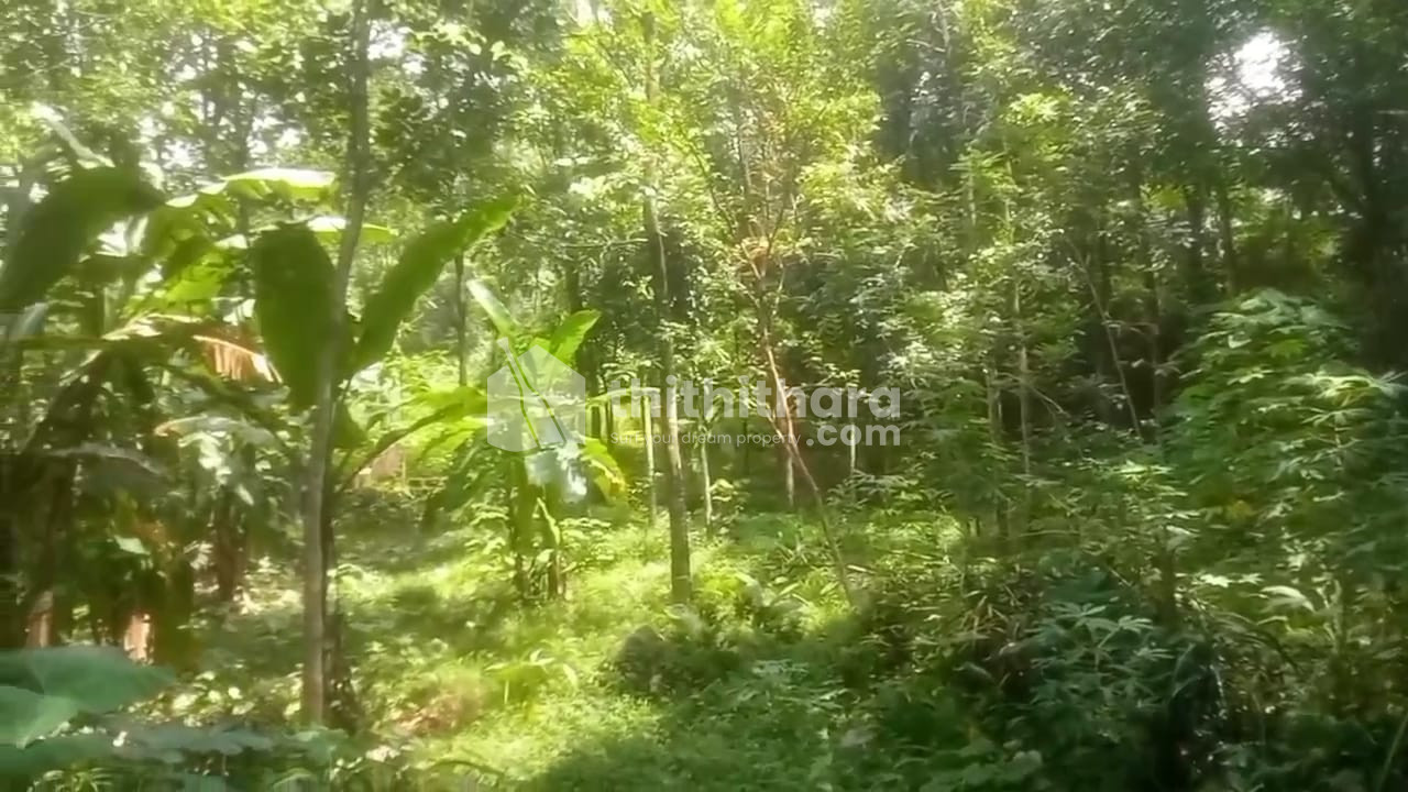Land for Sale in Kothamangalam Ernakulam