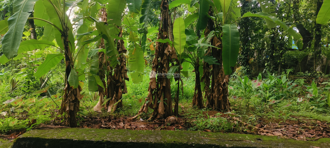  Land available for Sale in Ayathil Kollam