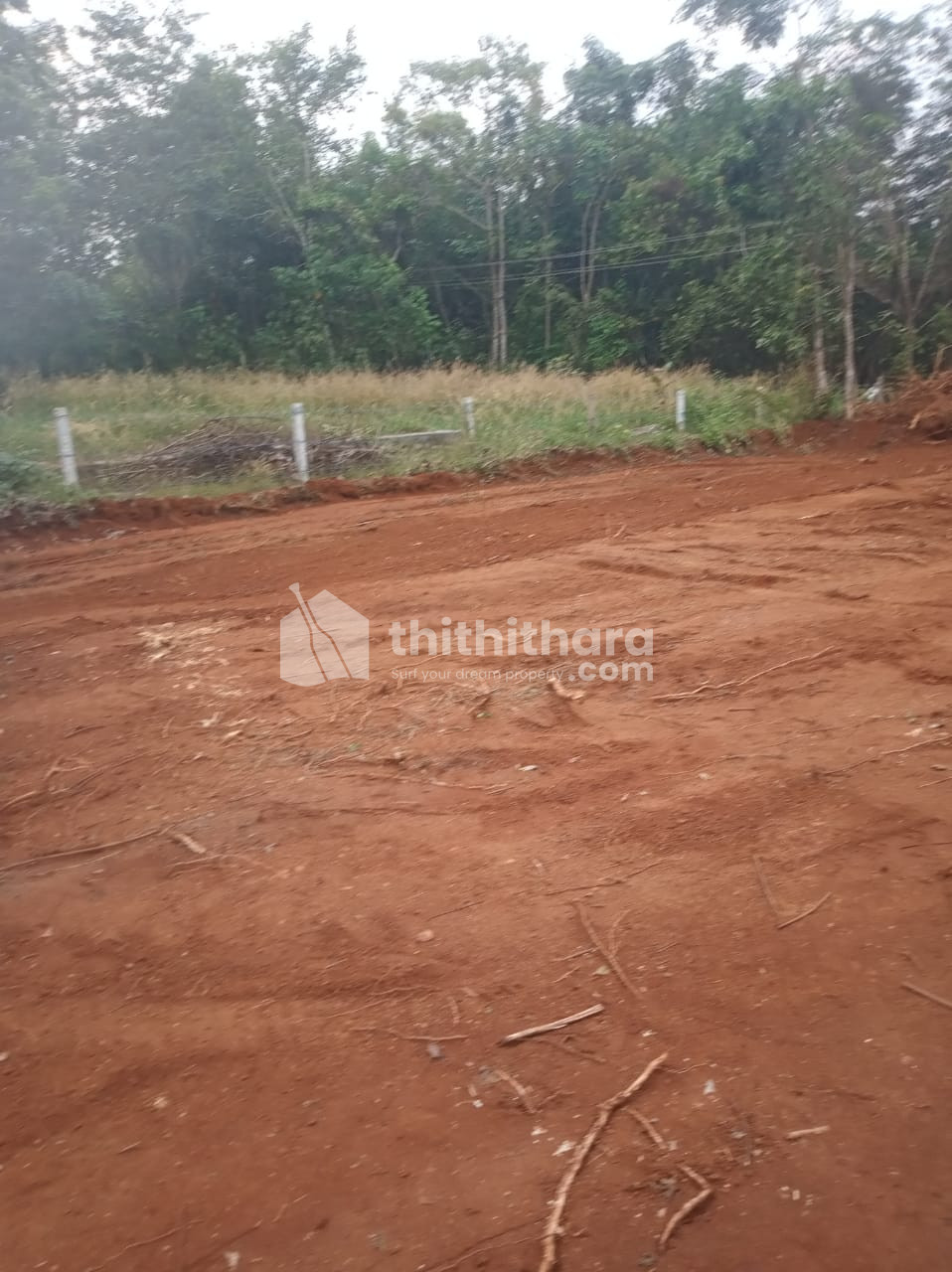 Land for Sale in Pattambi Palakkad