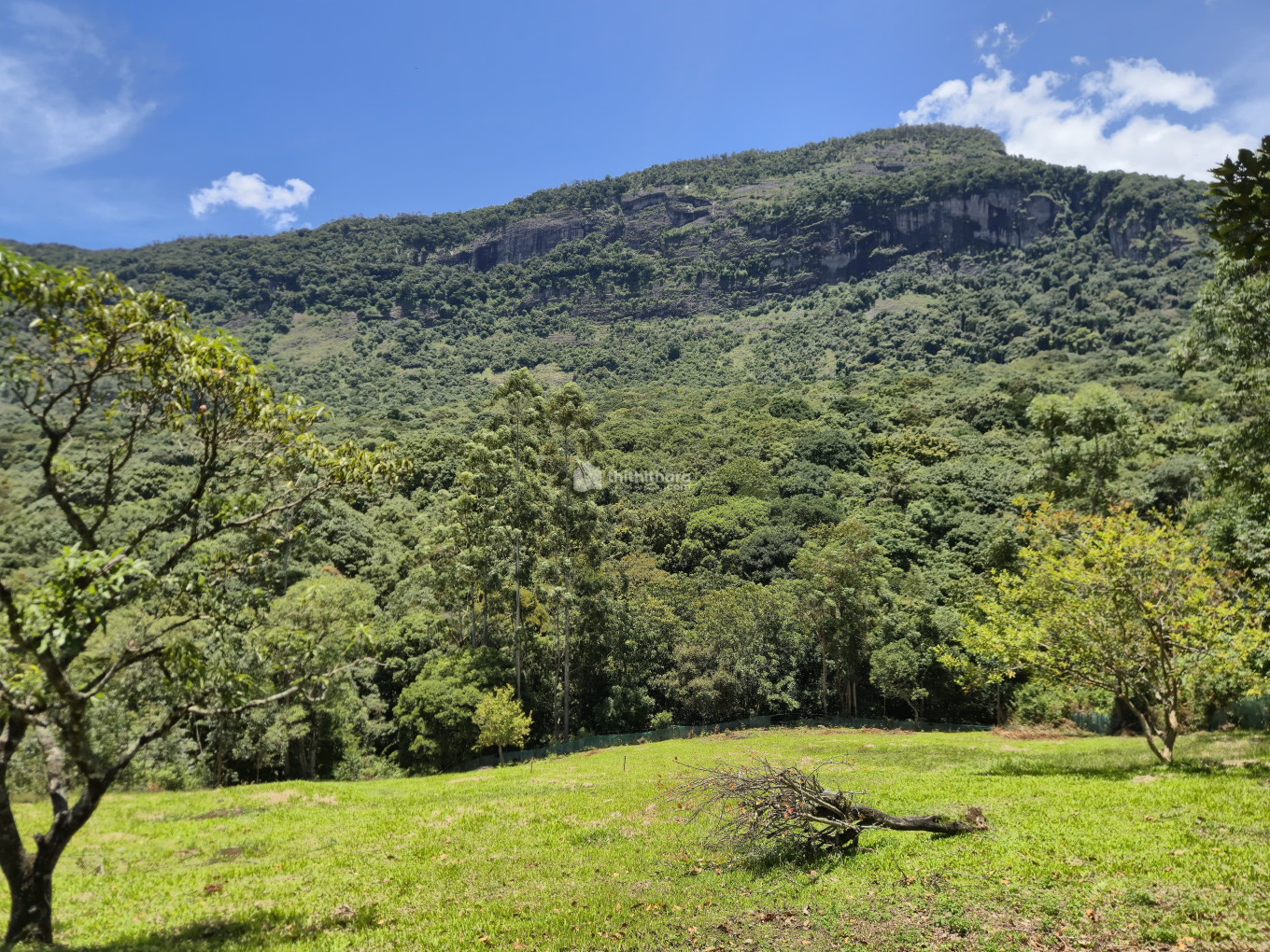 Land for Sale in Kanthalloor Idukki