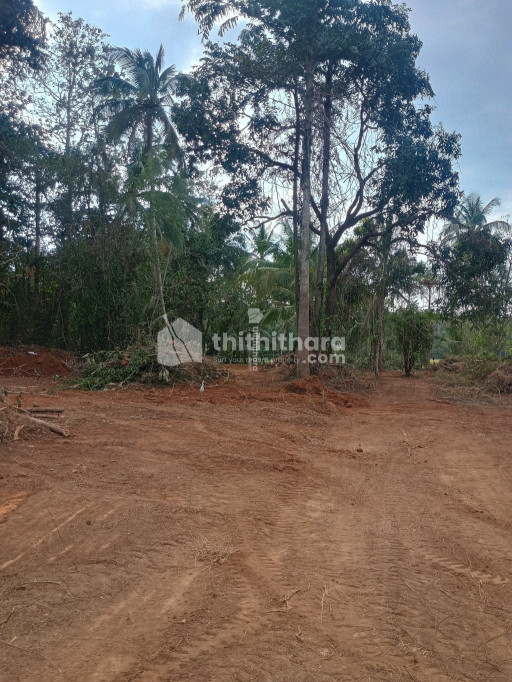 64 Cent Land for Sale in  Veelur, Kunnamkulam