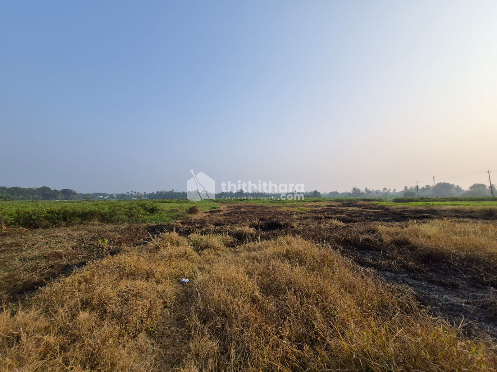 Residential Land available for Sale in Aluva Ernakulam
