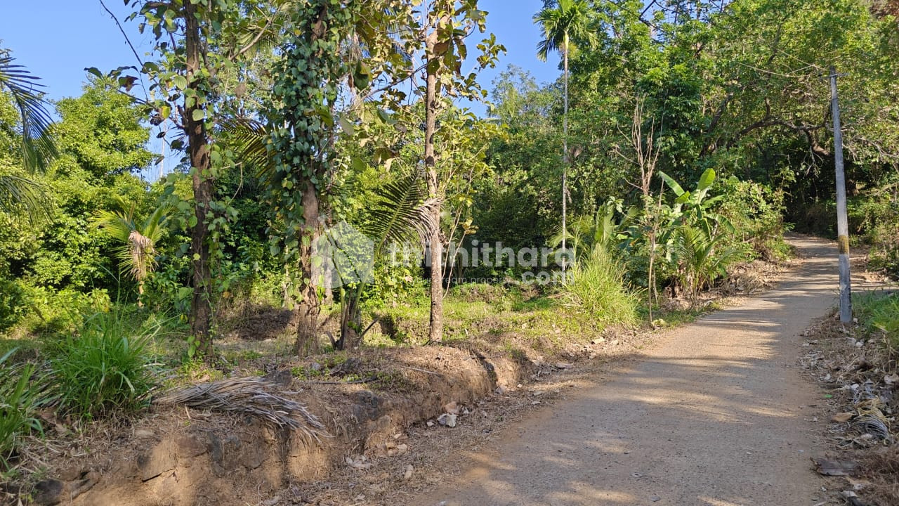 Residential Land available for Sale in Peravoor, Kannur