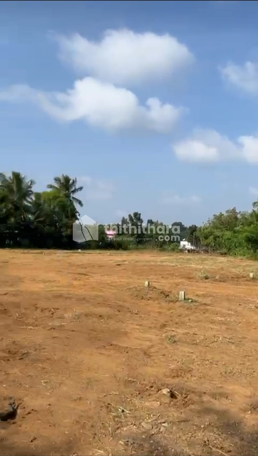 15 cent plot for sale 