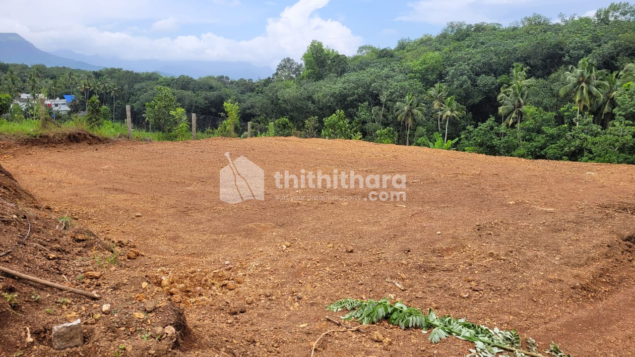 Residential Land for sale Nedumangad Thiruvananthapuram